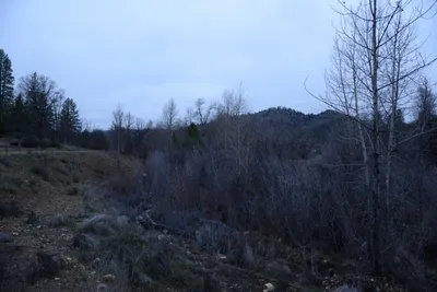 DSC_0977 (Large).JPG